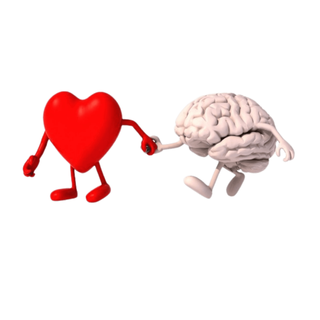 Coração e cérebro representando inteligência emocional